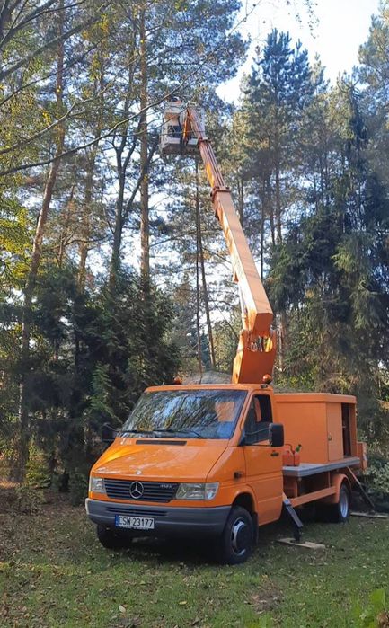 Usługi podnośnikiem koszowym, czyszczenie działek ,prace ogrodowe.