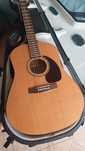 Guitarra folk Seagull