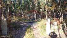 Terreno  para venda