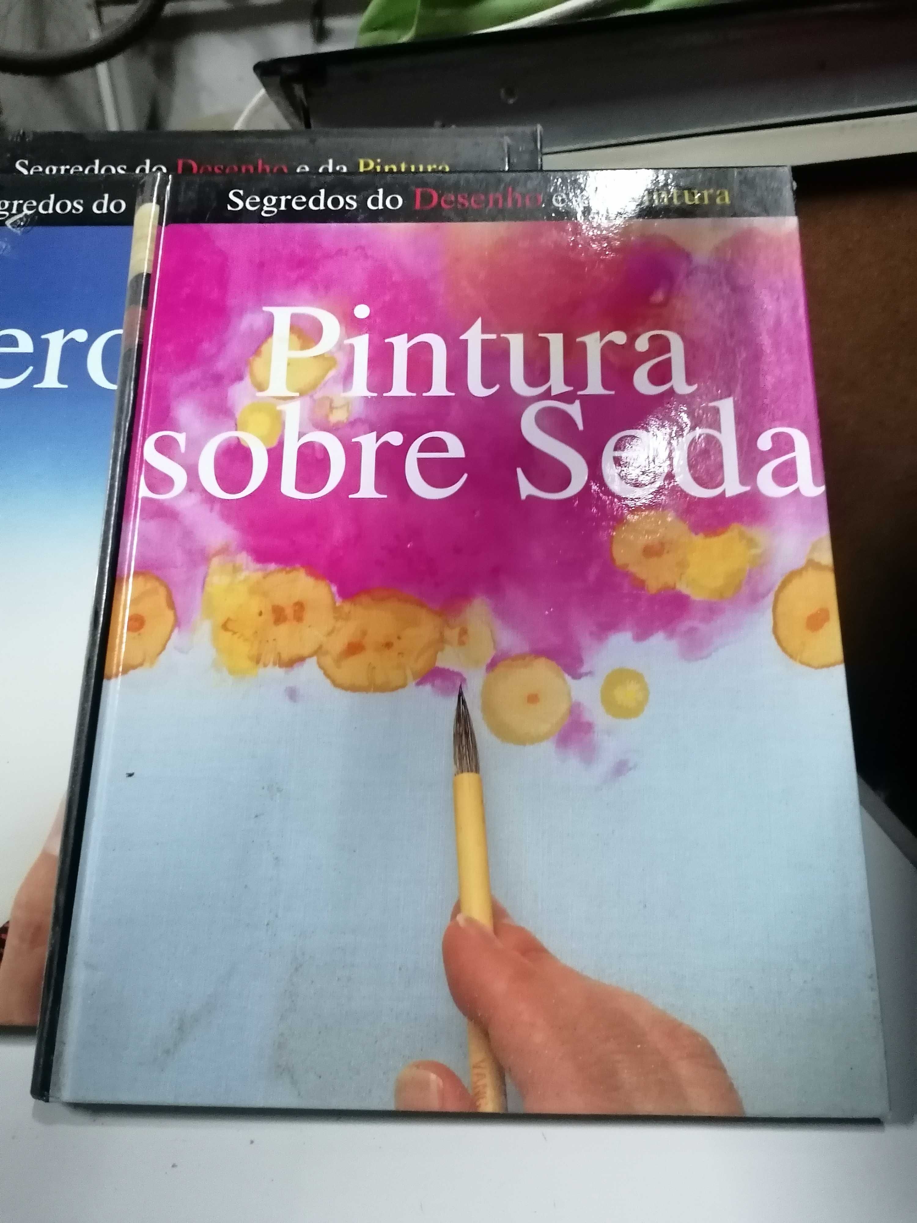 Livros Segredos do desenho e da pintura