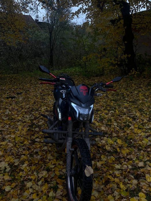 Musstang Fortune 200