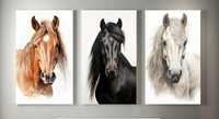 Plakaty Konie zestaw 3 sztuki 50x70 cm