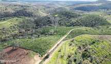Herdade com 26 ha em Taliscas Odemira