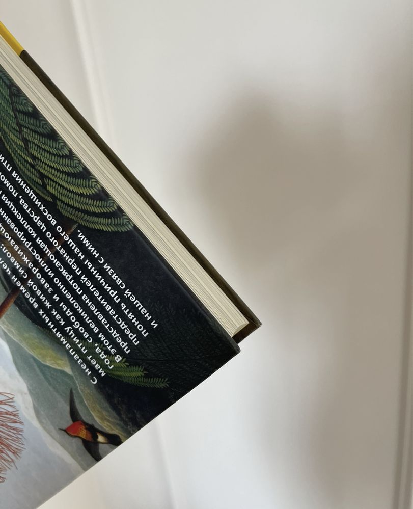 Книга Восхитительные птицы, 240 ст.