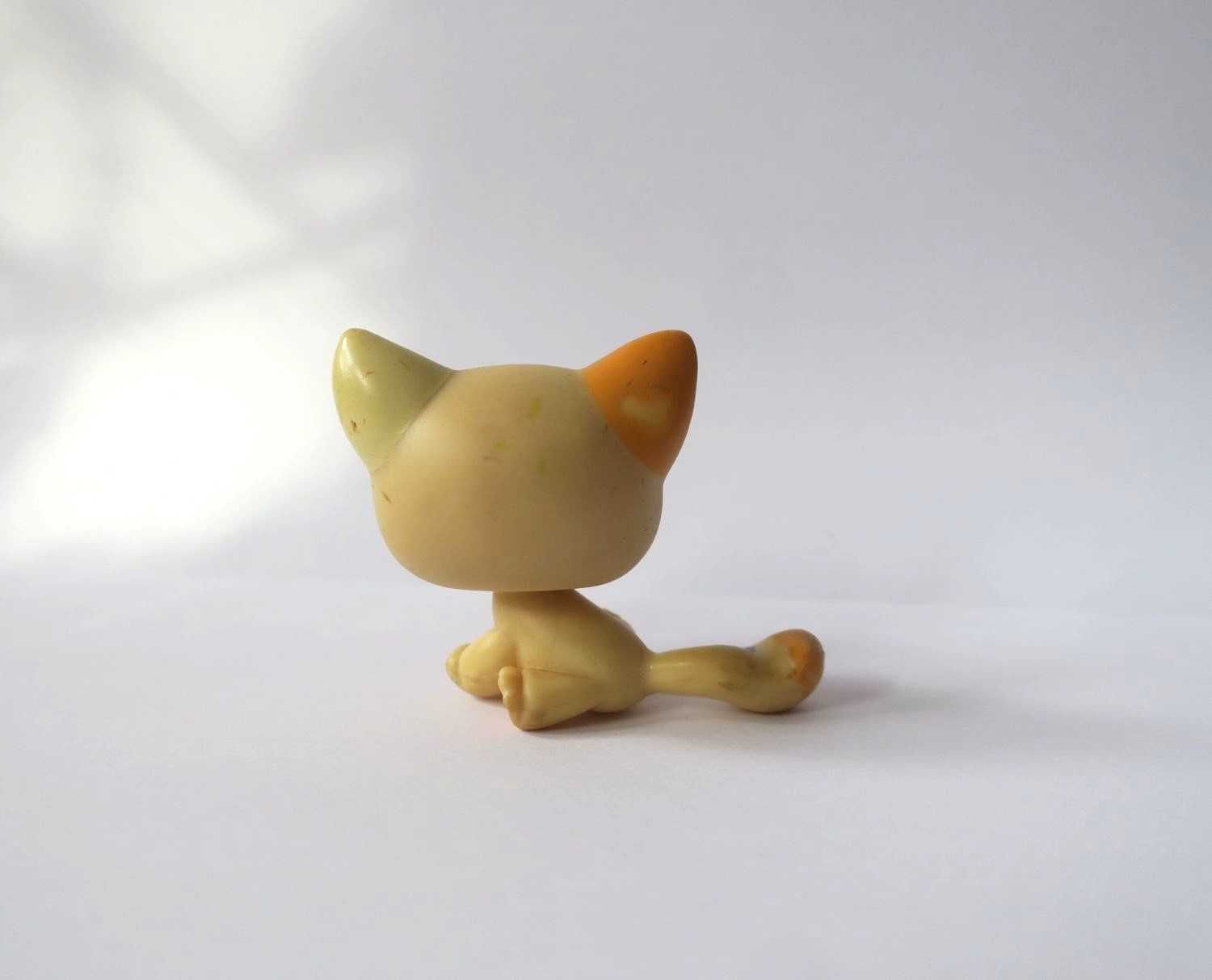 Kot kotek littlest pet shop
