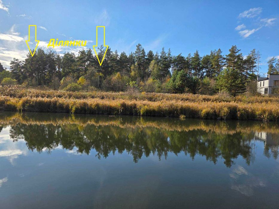 Тарасівка Боярська ТГ 7соток біля озера та лісу сосни на ділянці