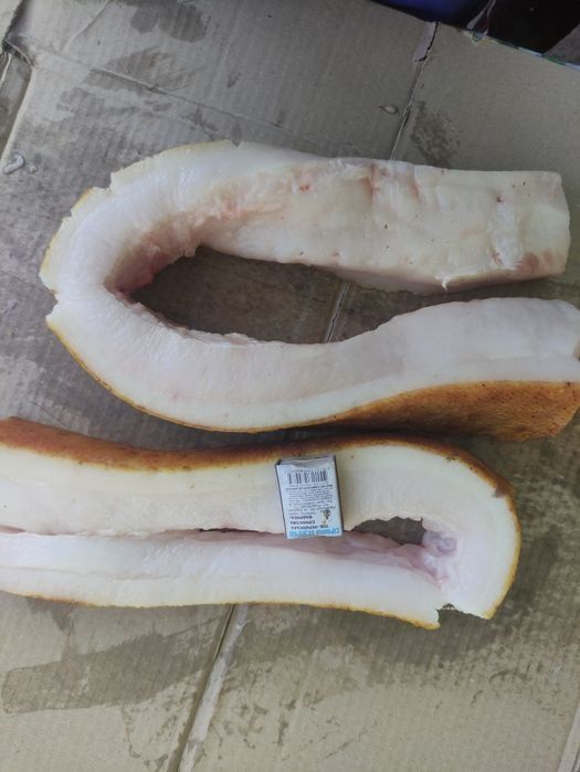 Продам сало з домашніх свиней.
