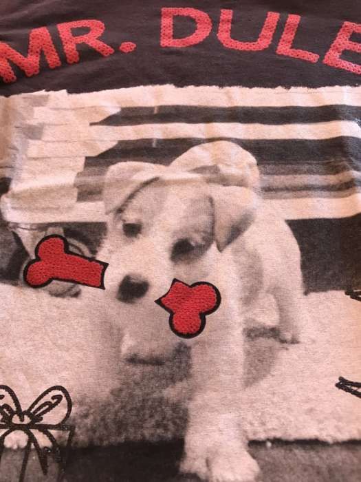 T-shirt cão
