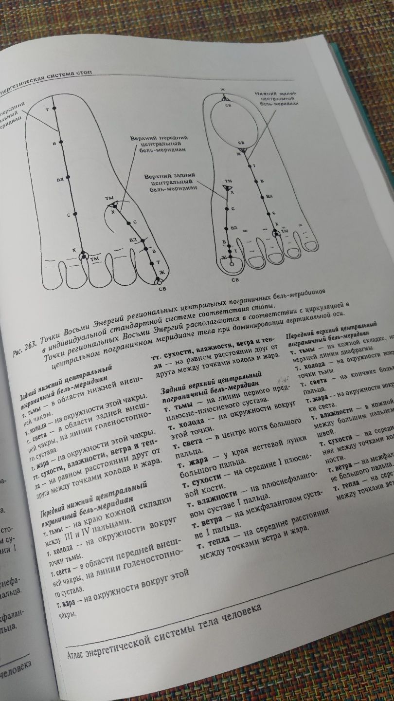 Атлас энергетической системы человека А4