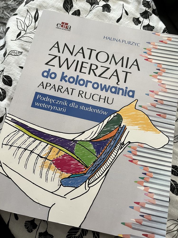 Anatomia zwierząt do kolorowania aparat ruchu