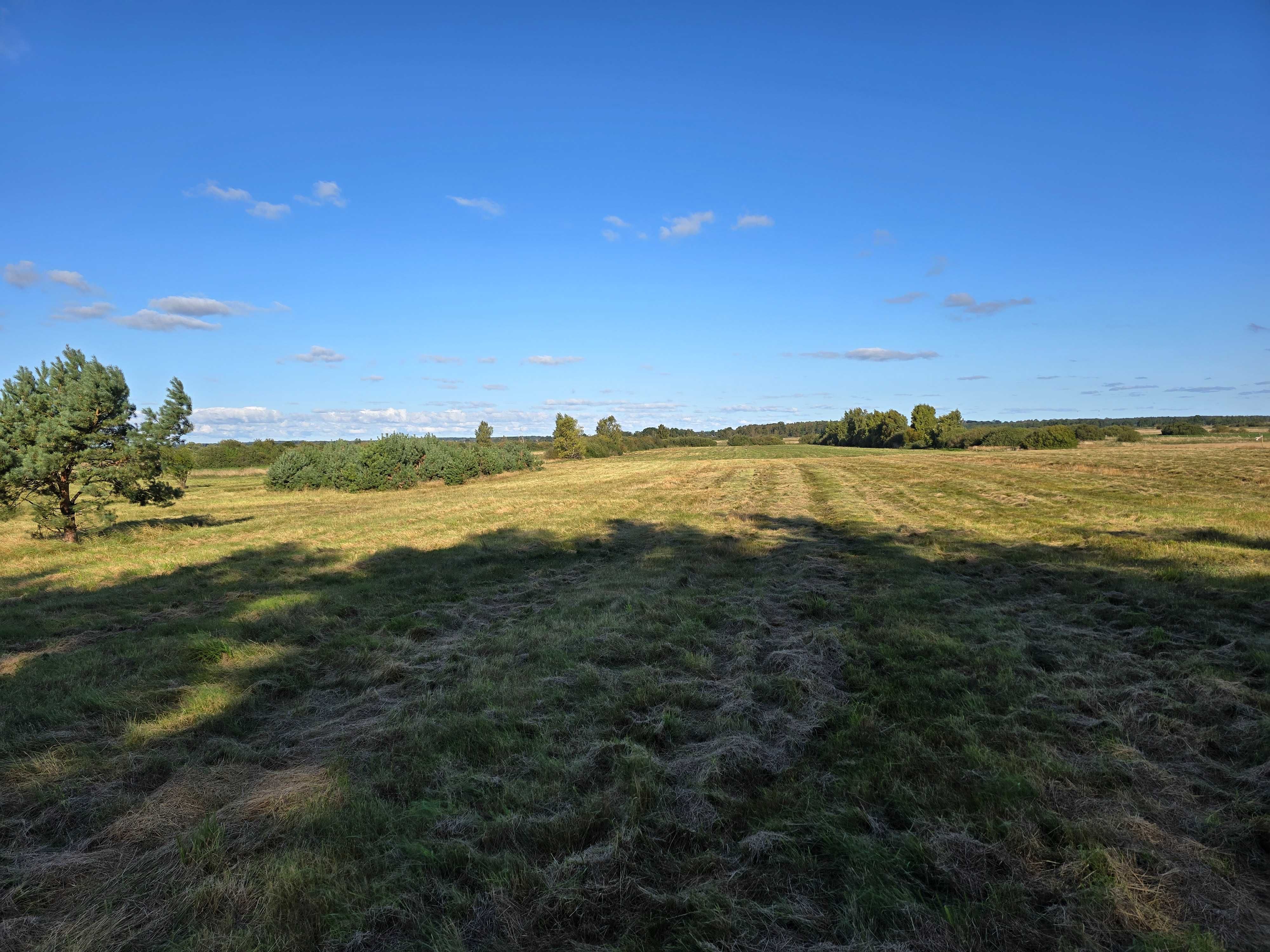 Karnice, Duże Piękne działki, pod lasem, 4km od Rewala i Morze OKAZJA
