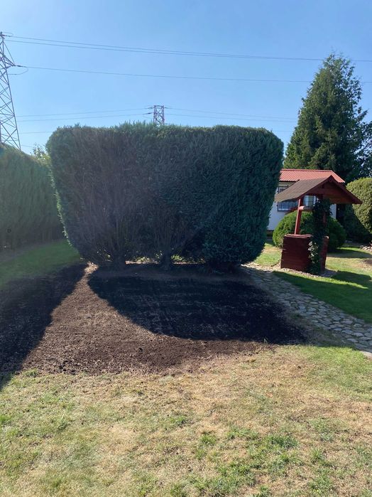 Usługi ogrodnicze - realizacja, pielęgnacja ogrodów