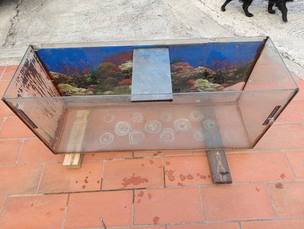 Vendo aquários usados