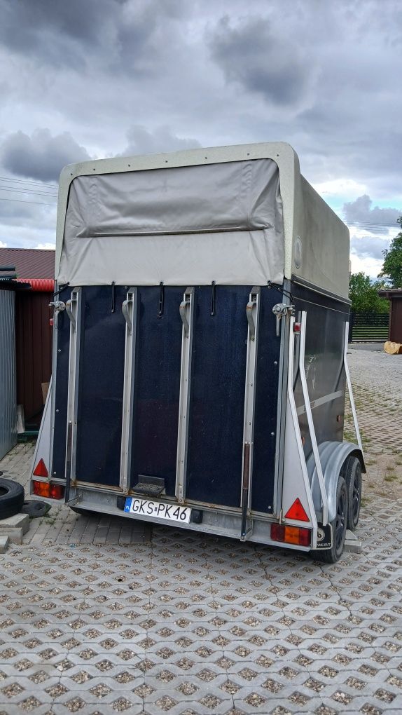 Blomert Diamond do przewozu koni DMC 2400