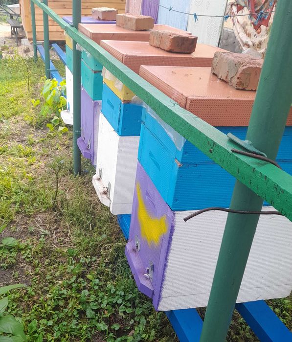 Бджолосімя, пасіка, бджоли, вулики, рої