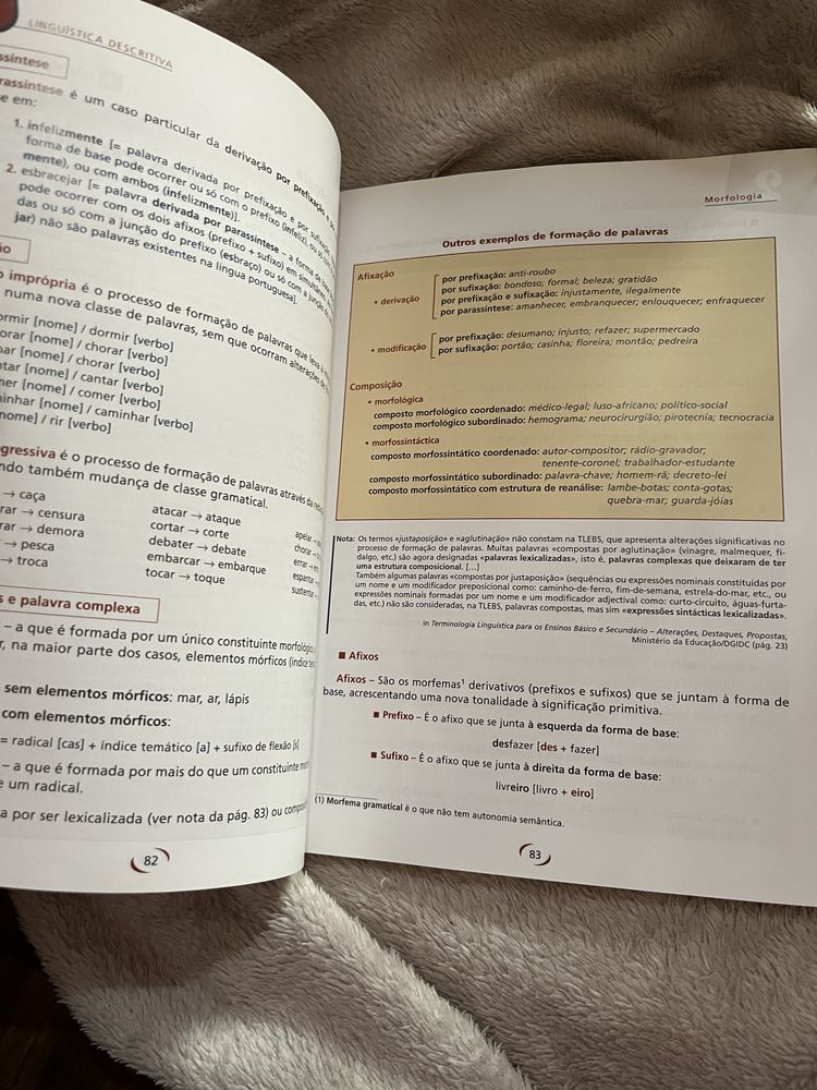 Gramática do Português Moderno