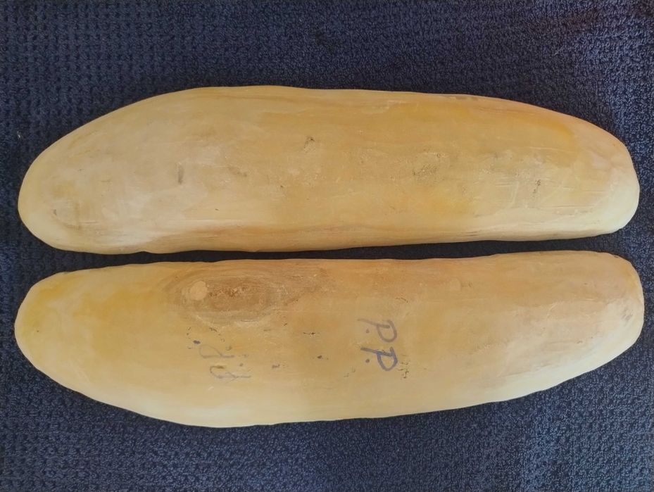 Skamielina ryby split duży okaz Vinctifer Comptoni Kreda