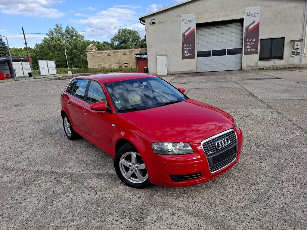 Audi A3 Sportback,1.6 MPI 102KM,5-Drzwi,Nowy Rozrząd,Xenon,Skóra z Nie