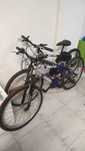 Bicicleta montanha Roda 24