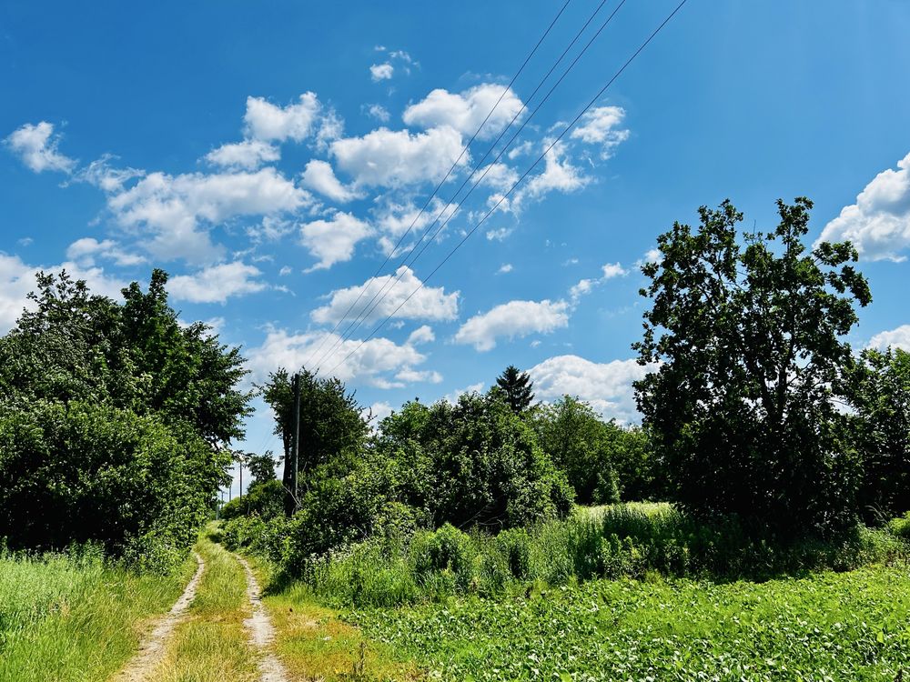 Земельна ділянка площею 56 сот в с. Хрінники
