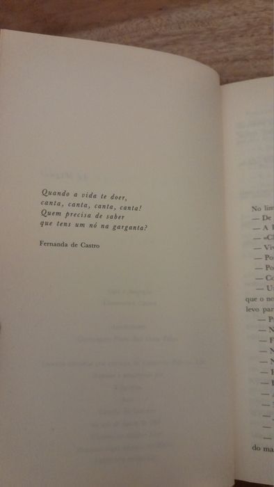 O nó na garganta - Rita Ferro