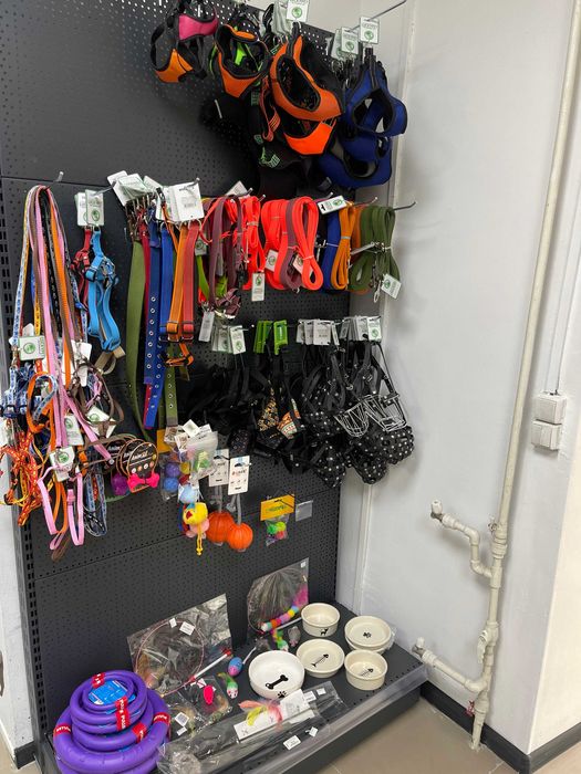 Франшиза| Зоомагазин від 2000$ на місяць!