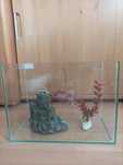 Akwarium terrarium 10 l