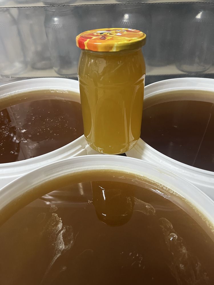 miod, miod wielokwiatowy naturalny pszczeli pasieki rodziny matki