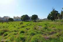 Terreno, Coimbra, São Martinho