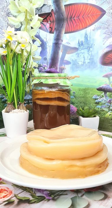 Акція! Комбуча, чайний гриб, домашній напій