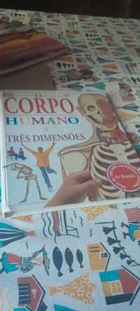 Livro semi novo do corpo humano