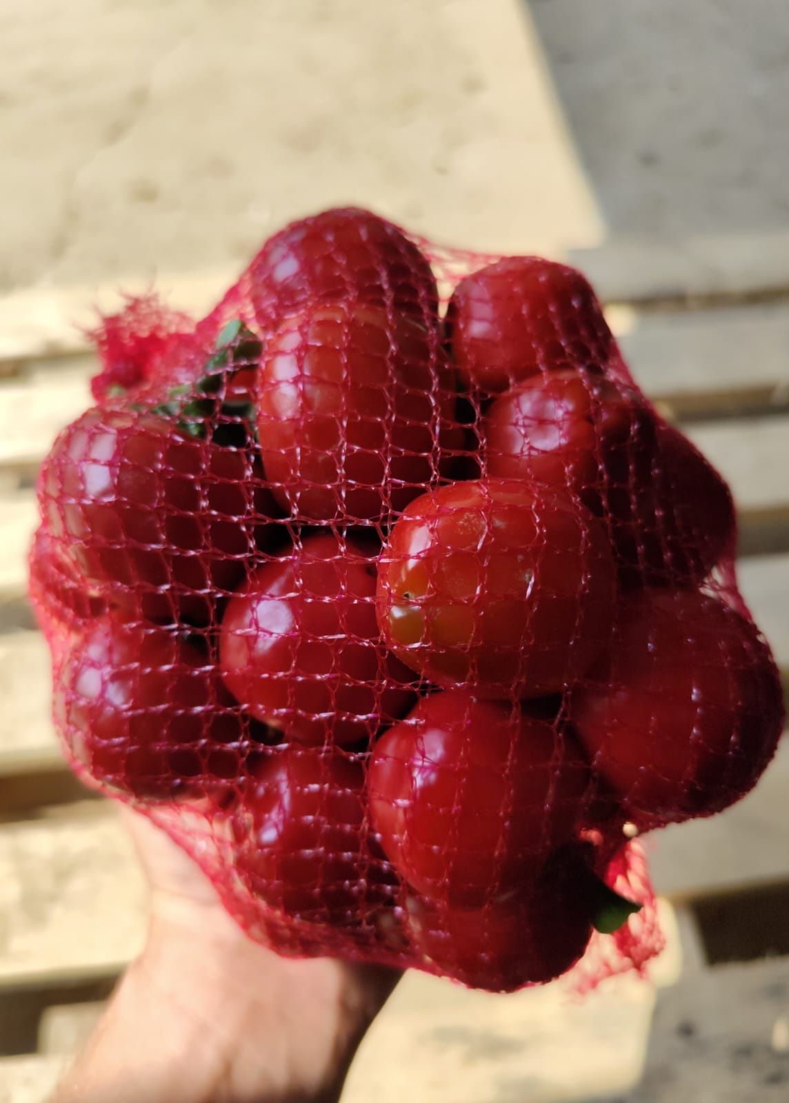 Papryczki cherry słodkie