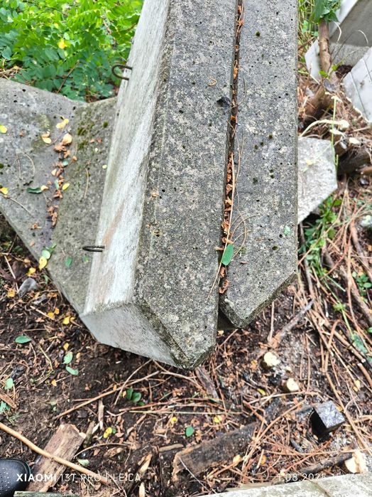 Ściany oporowe typu L. (Podjazd)