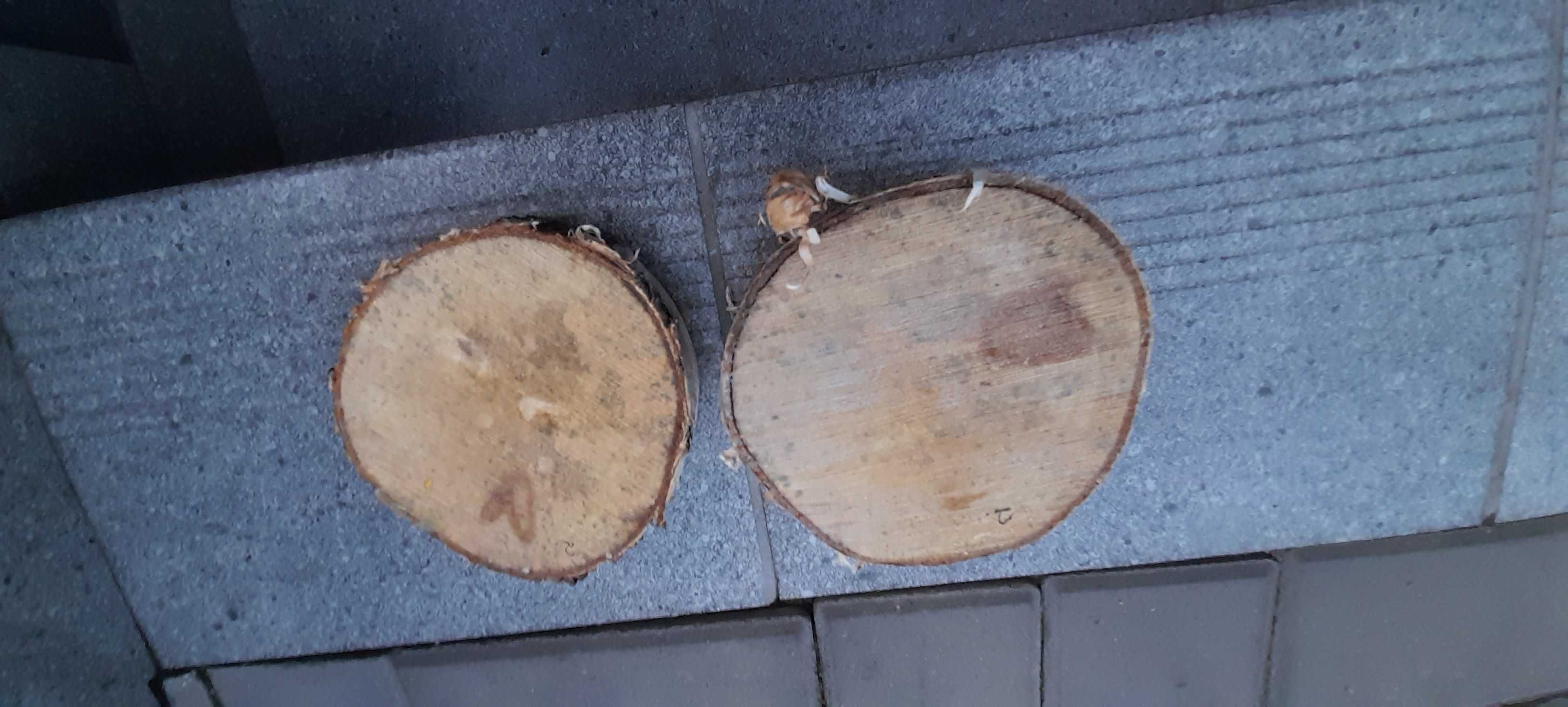 Plaster drzewa brzoza na stroik 2 szt