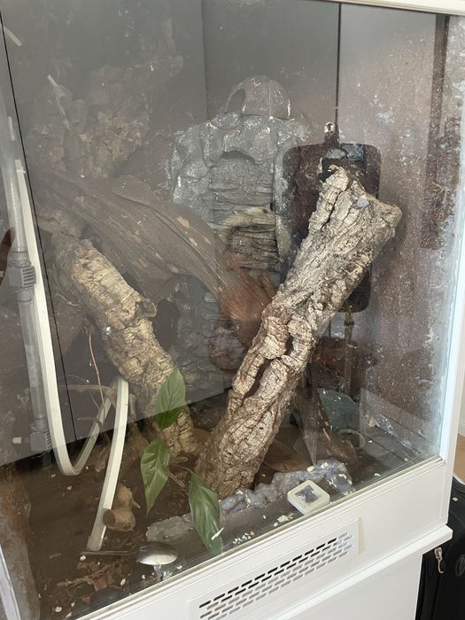 Podwojne terarium + pelne wyposazenie pod jaszczurki  !