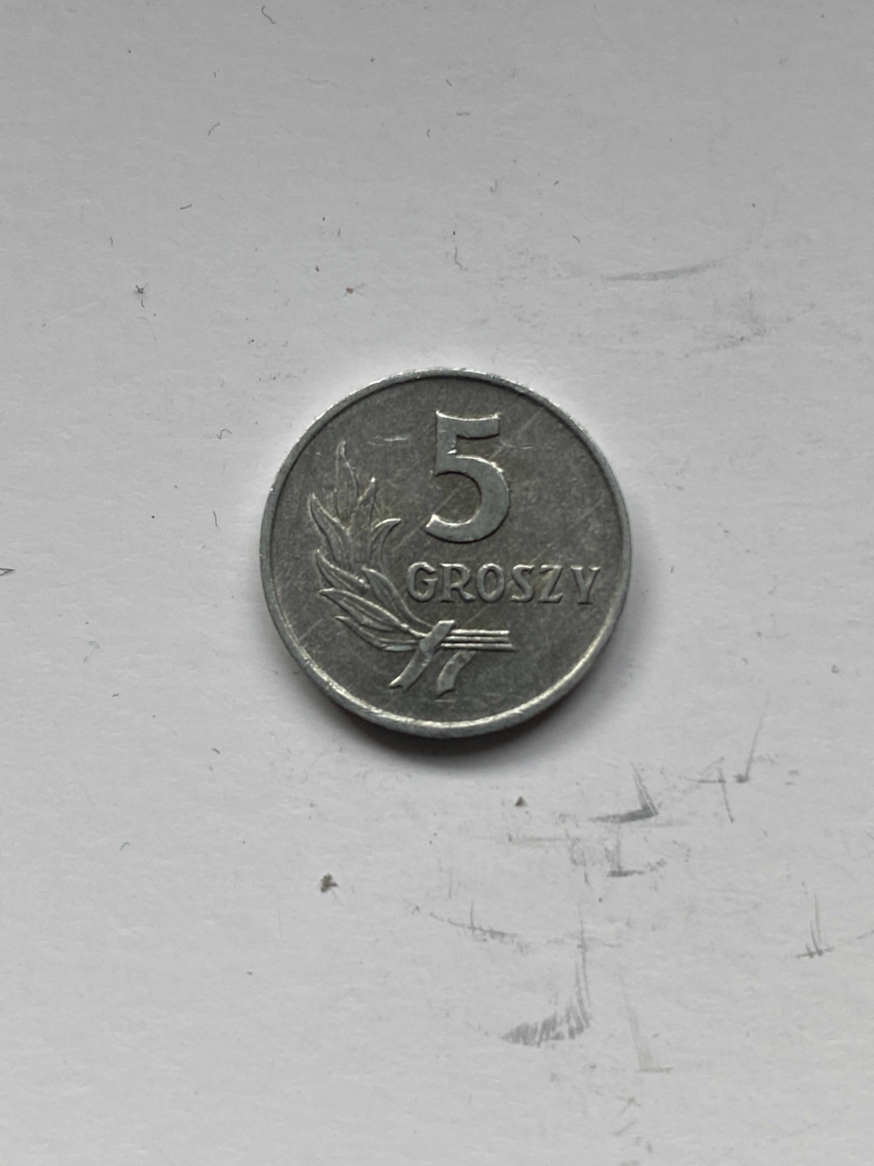 Moneta Polska PRL - 5 groszy 1962r