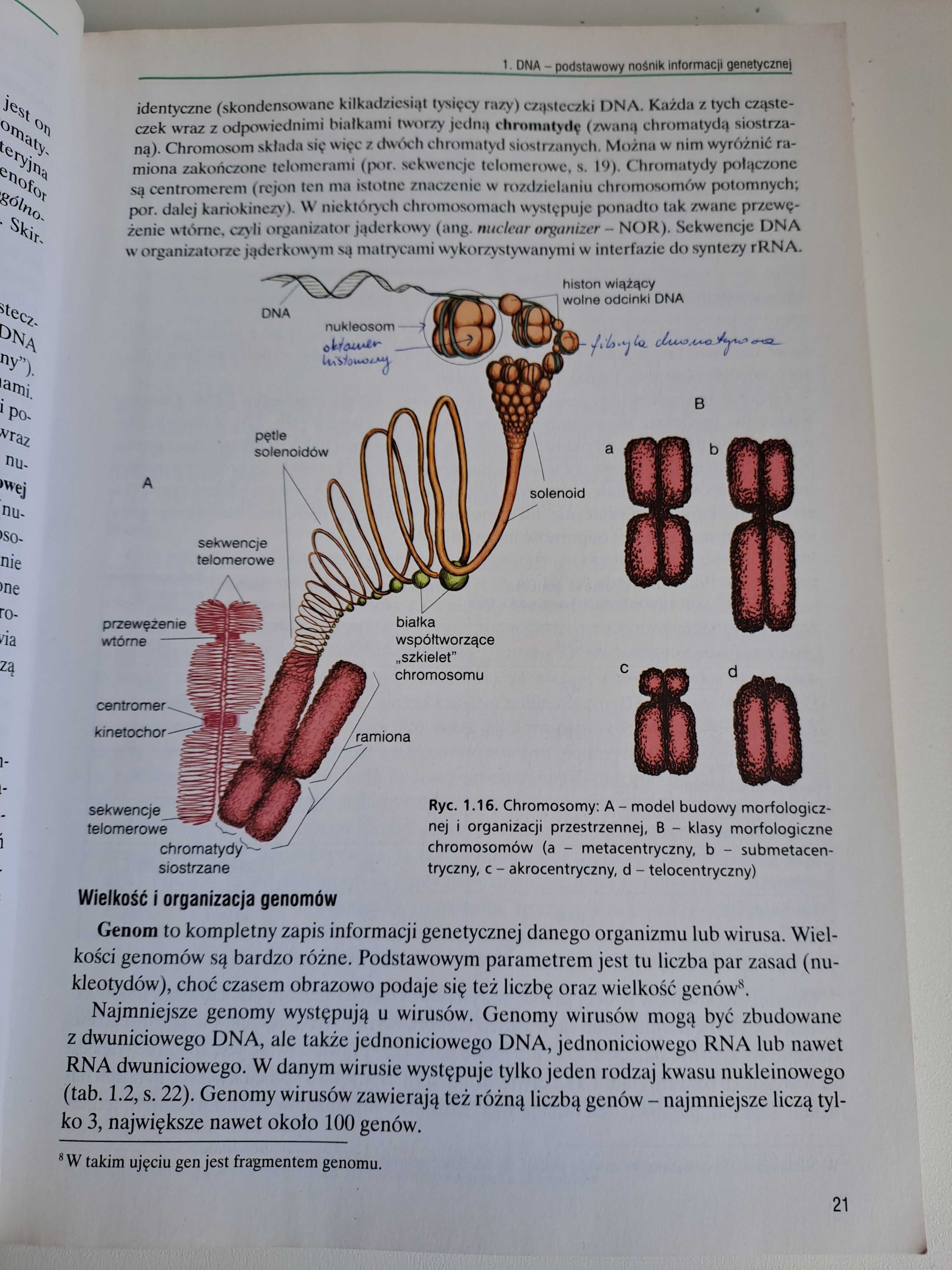 BIOLOGIA 3 podręcznik zakres rozszerzony