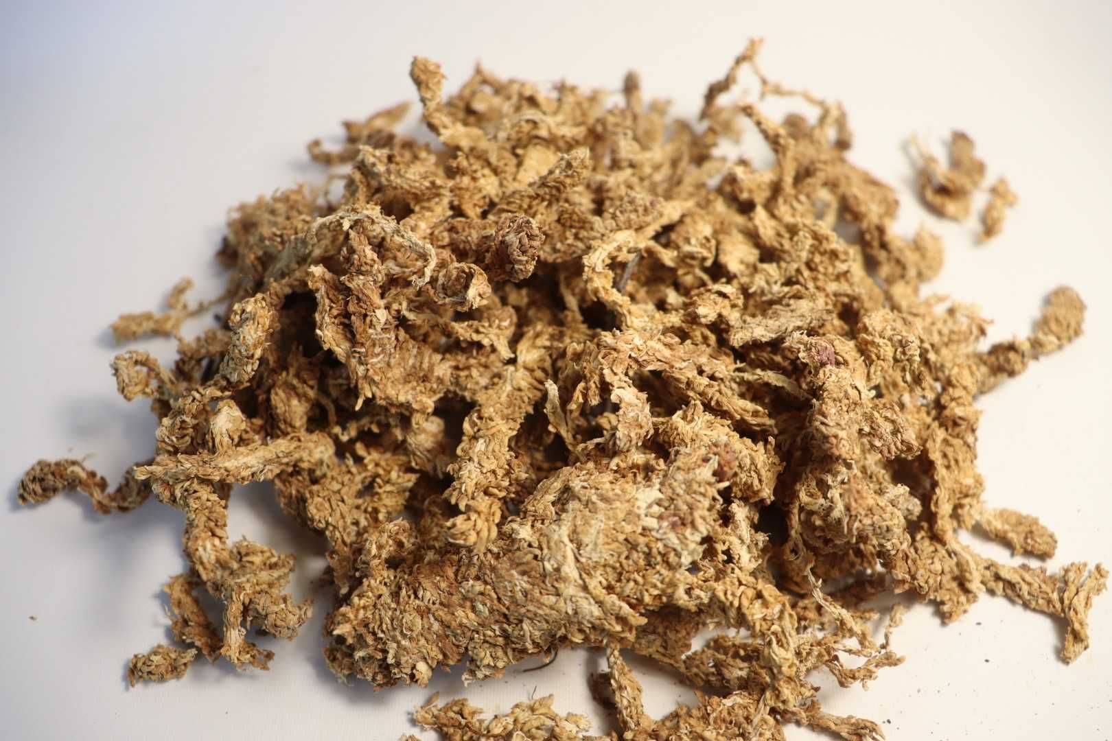 Mech torfowiec 100g