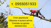 Спилим деревья любой сложности