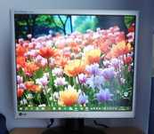 Monitor LG 19 cali