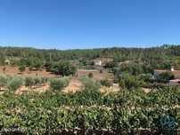 Quinta T3 em Cumeada e Marmeleiro de 140,00 m2