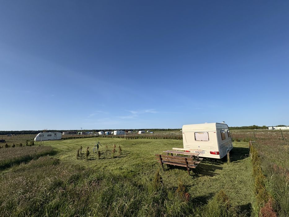 Koszenie działek - Usługi na działkach