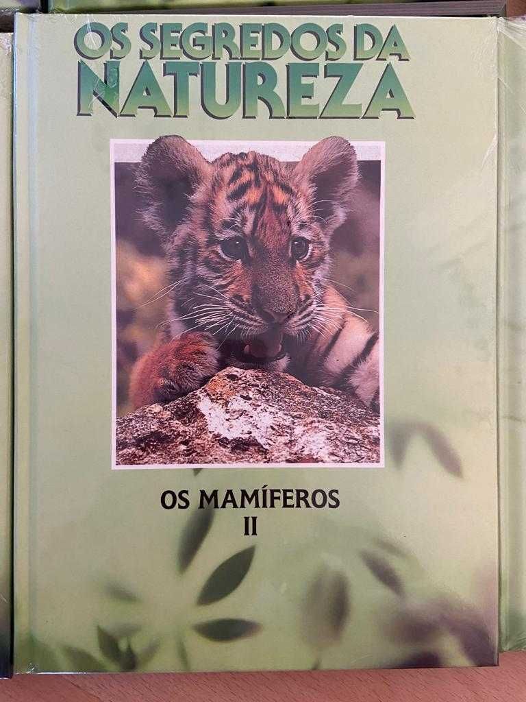 Coleção Livros da Natureza - nova