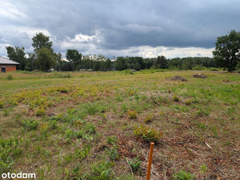 Twój dom wśród zieleni – działka 1270 m² w Górze Kalwarii-Bezpośrednio