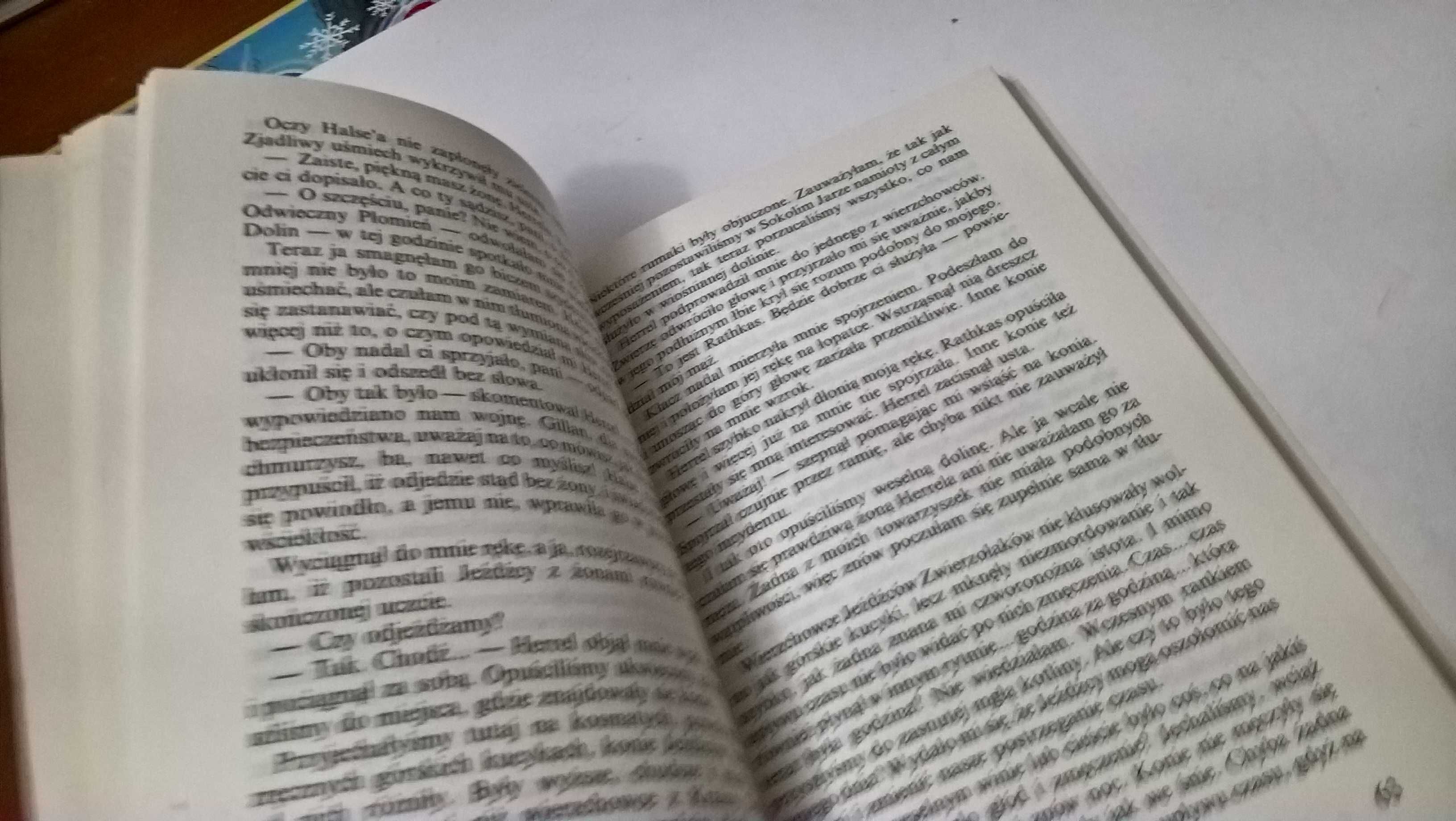 Rok jednorożca Andre Norton