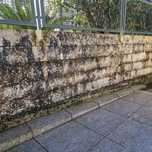 Limpeza de muros e paredes