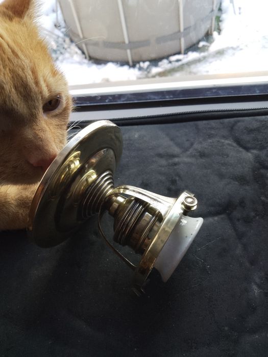 Stara zwis by do lampy.