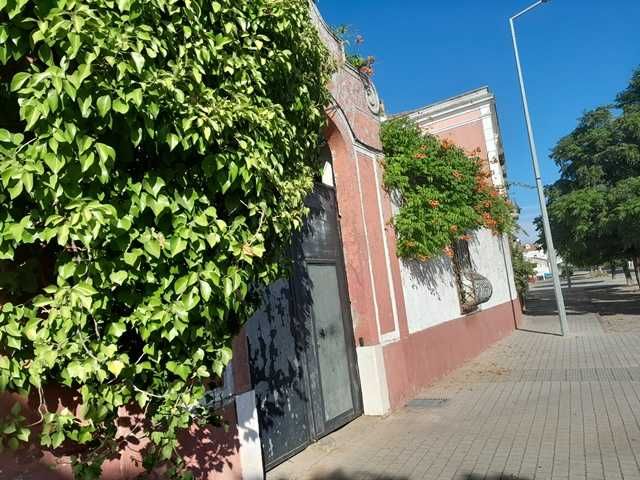 Bonito Palacete em Vila Alentejana