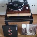 Gramofon Thorens TD 204