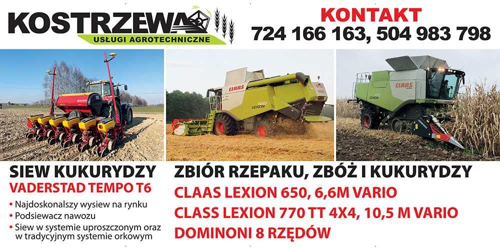 Usługi rolnicze, Siew Kukurydzy GPS RTK, Sianie kukurydzy, Vaderstad